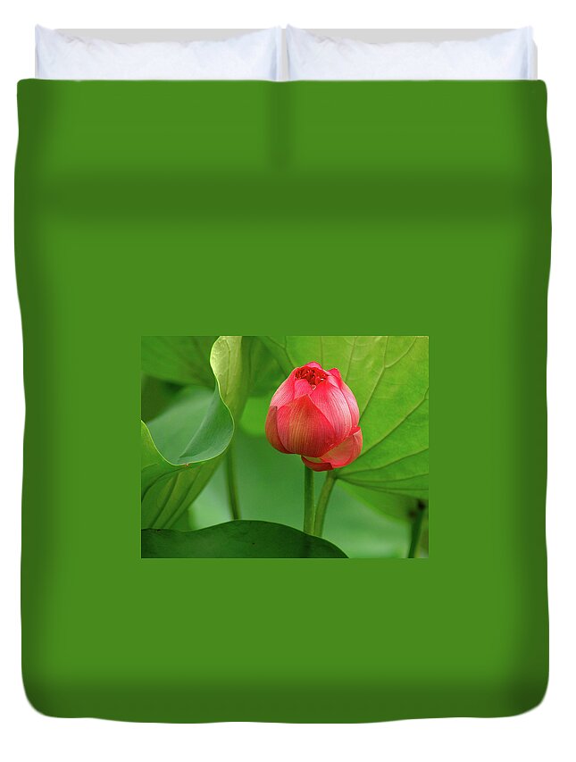 Lotus Duvet Cover featuring the photograph Lotus Flower 2 by Harry Spitz