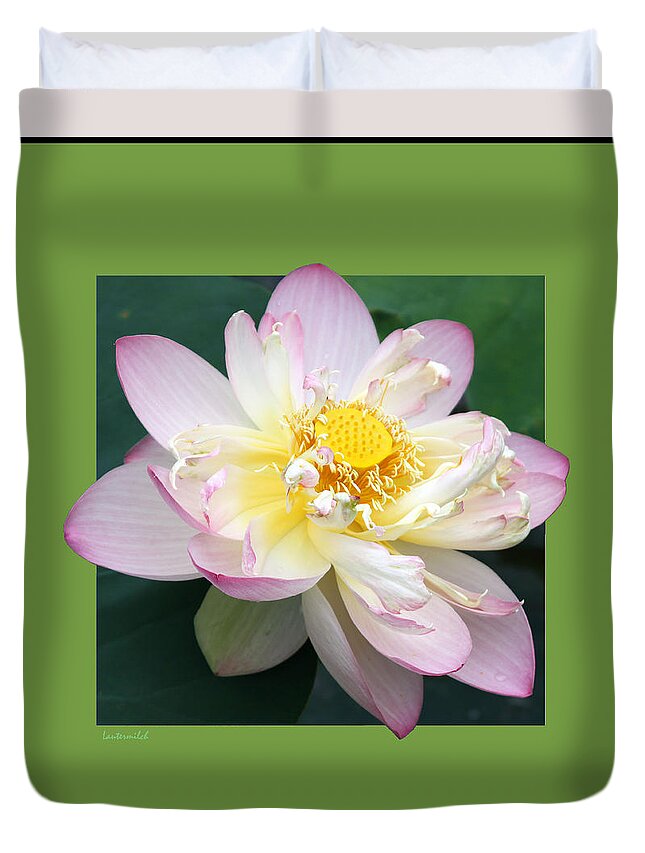 Lotus Duvet Cover featuring the photograph Lotus On Green by John Lautermilch