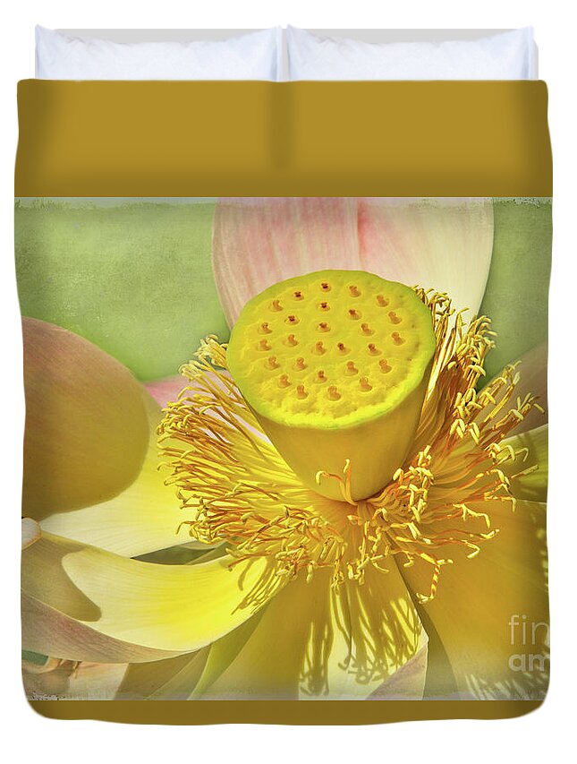 Cactus Duvet Cover featuring the photograph Lotusland Lotus by Marilyn Cornwell