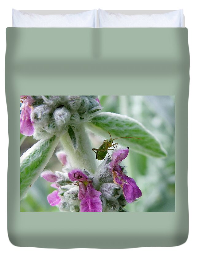Nature Duvet Cover featuring the photograph Lounging on the Lambs Ear by Peggy King