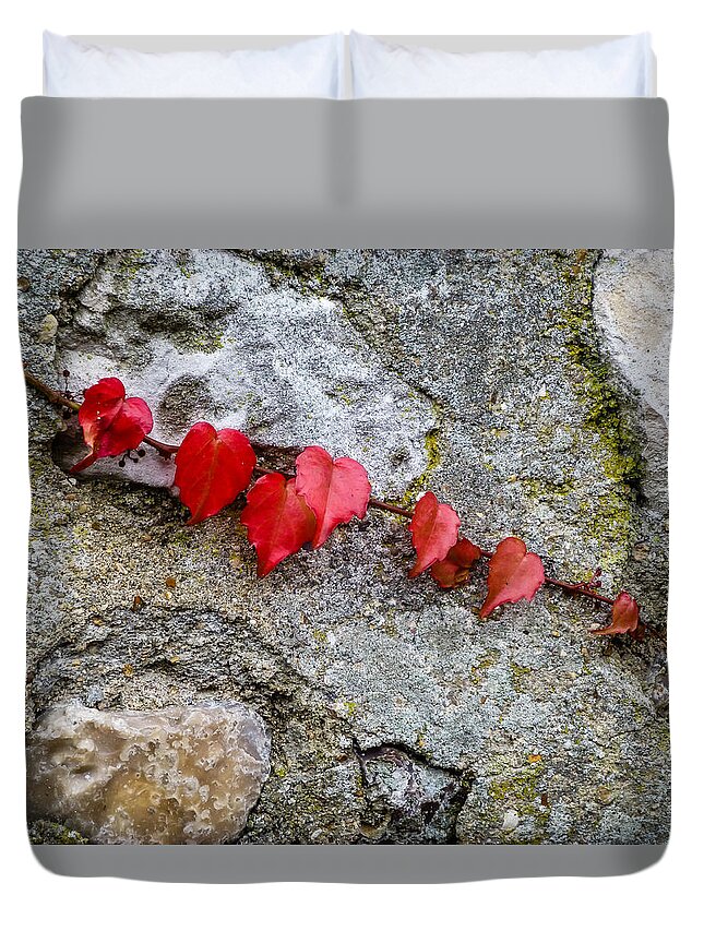 France Duvet Cover featuring the photograph Love Grows by Pamela Newcomb