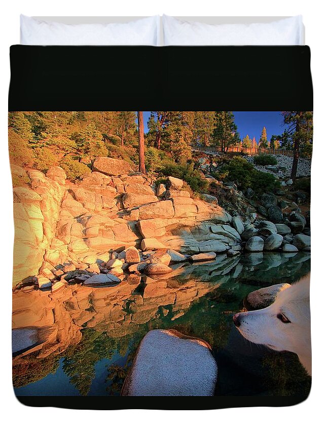 Wild Duvet Cover featuring the photograph Love Is All Around by Sean Sarsfield