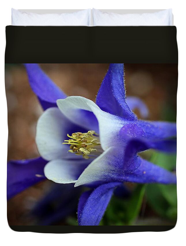 Columbine Duvet Cover featuring the photograph Love Match by Michiale Schneider