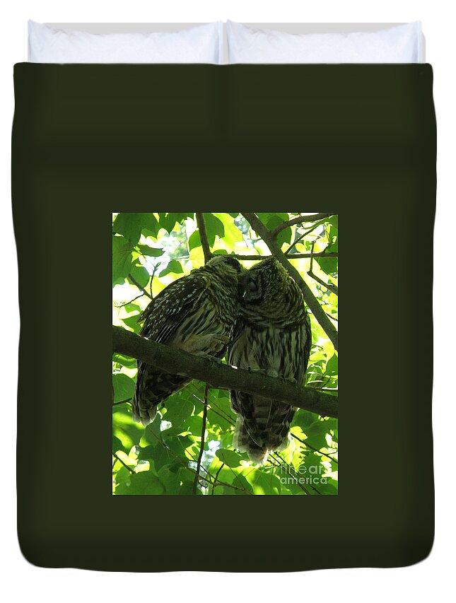 Owls Duvet Cover featuring the photograph Love Owls by Lainie Wrightson