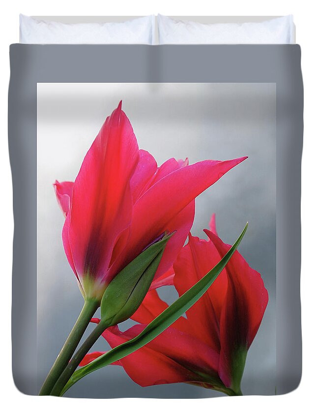 Tulips Duvet Cover featuring the photograph Love by Rona Black
