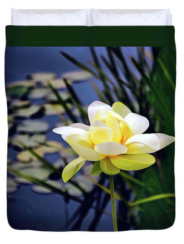 Lotus Duvet Cover featuring the photograph Lovely Lotus by Jessica Jenney