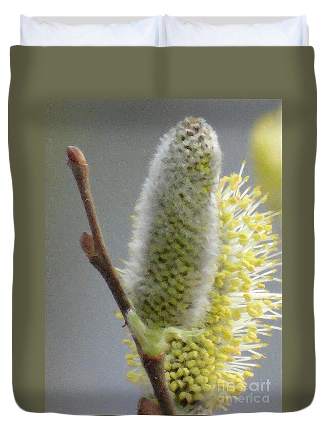 Spring Duvet Cover featuring the photograph Lovely spring by Karin Ravasio