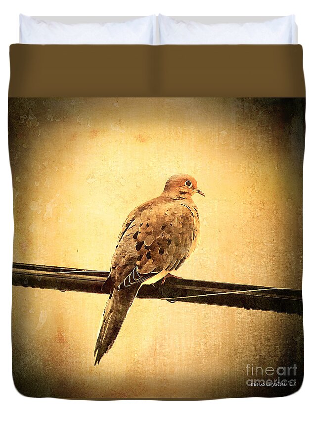 Doves Duvet Cover featuring the photograph Lovey Dovey by Rene Crystal
