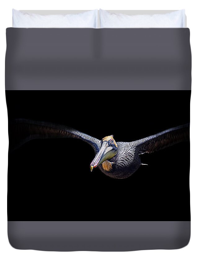 Crystal Yingling Duvet Cover featuring the photograph Low Flight by Ghostwinds Photography