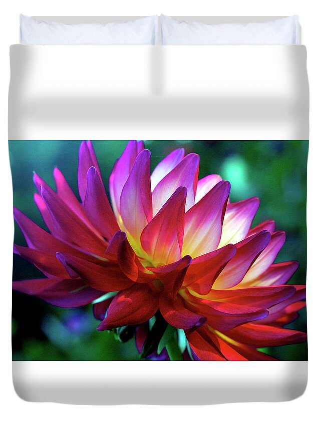 Nature Duvet Cover featuring the photograph Luminescence by Emerita Wheeling