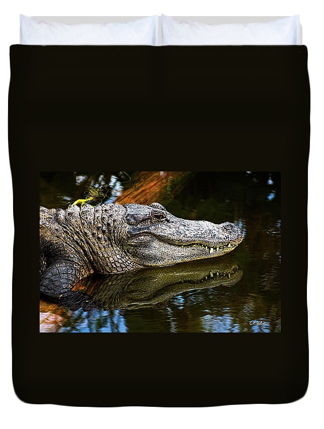 Alligator Duvet Cover featuring the photograph Lump On A Log by Christopher Holmes