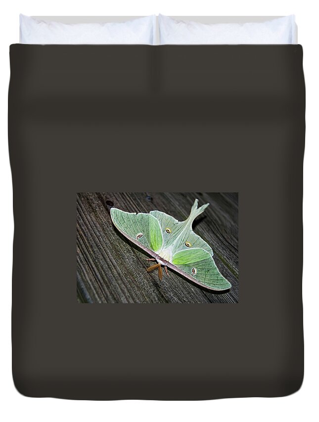 Luna Duvet Cover featuring the photograph Luna Moth by Amber Flowers