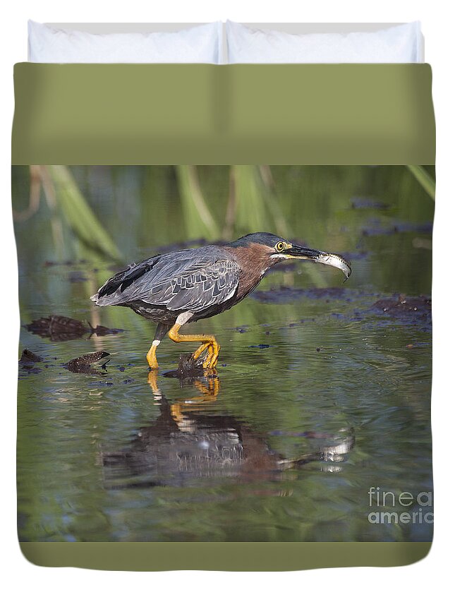 Green Heron Duvet Cover featuring the photograph Lunch to go by Ruth Jolly