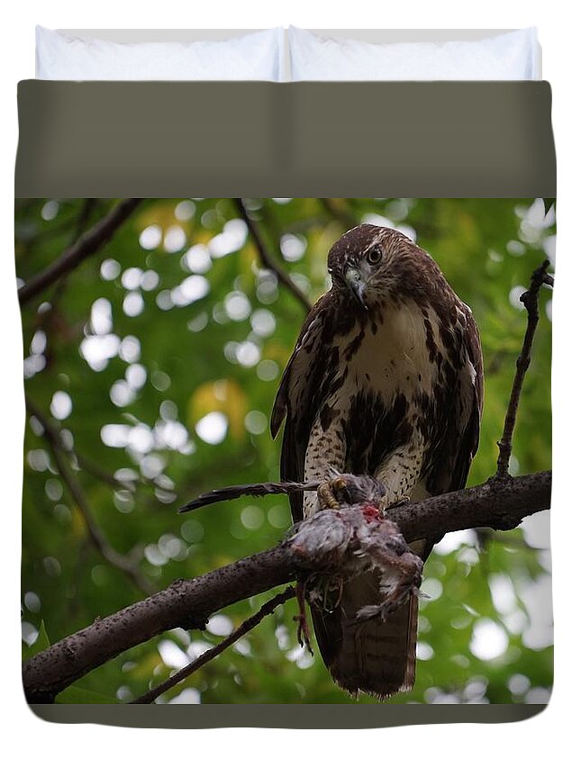 Red Tailed Hawk Duvet Cover featuring the photograph Lunch with a View by Brooke Bowdren