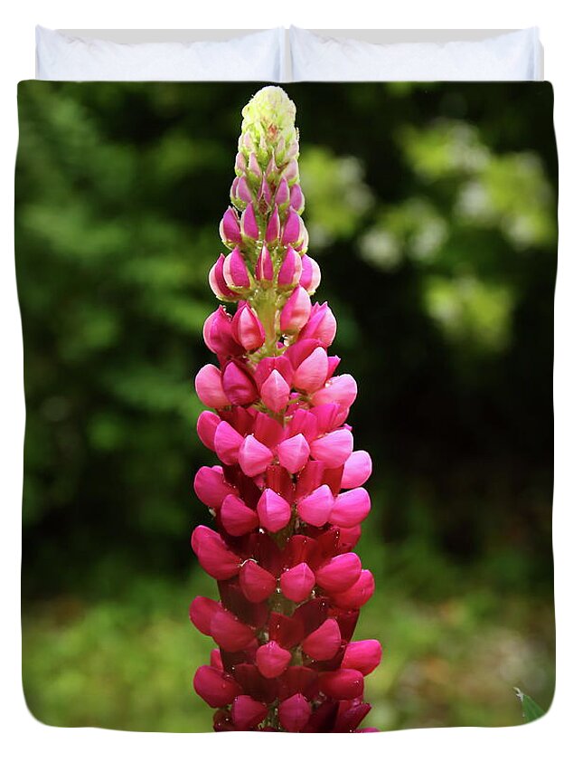 Lupin Duvet Cover featuring the photograph Lupin by Jeff Townsend