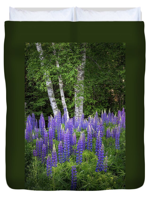 Sugar Hill Duvet Cover featuring the photograph Lupine and Birch Tree by Bill Wakeley