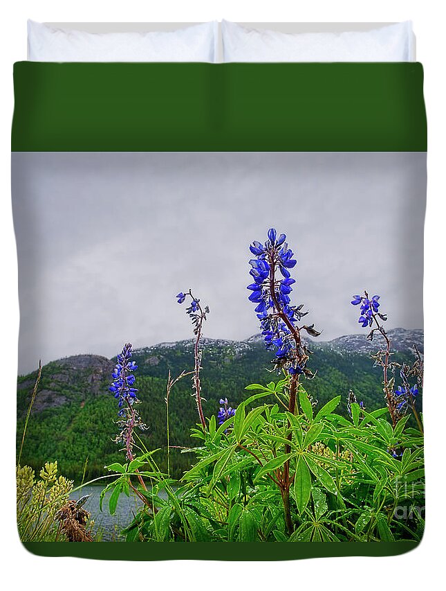 Lupines Duvet Cover featuring the photograph Lupine and Mountains by David Arment