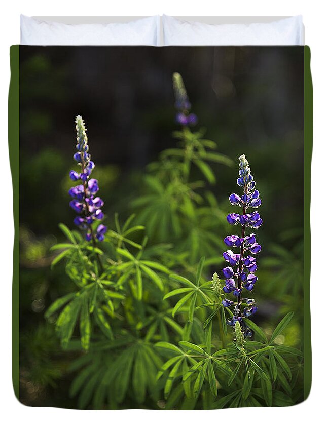 Lupine Duvet Cover featuring the photograph Lupine by Chad Dutson