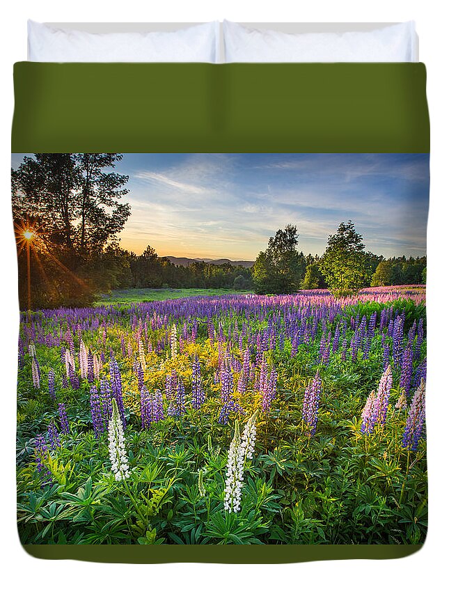 Lupine Field At Sunset Duvet Cover featuring the photograph Lupine Field at Sunset by White Mountain Images