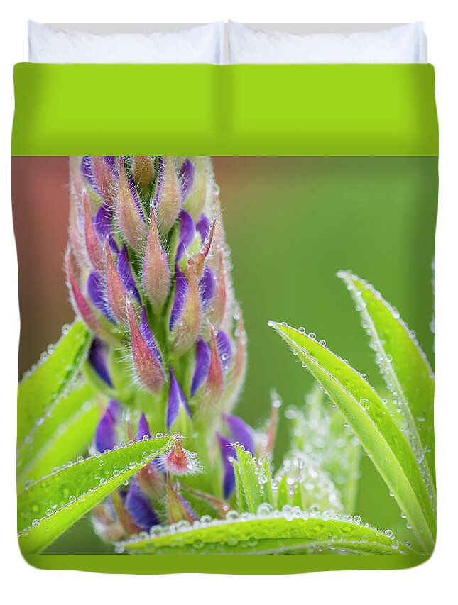 Flowers Duvet Cover featuring the photograph Lupine in the Mist by Robert Potts