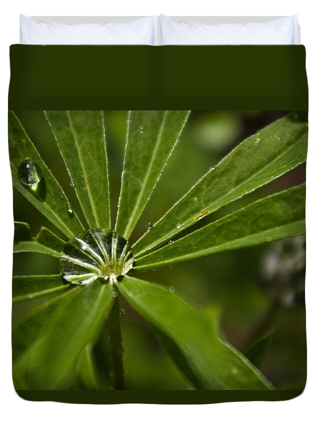 Leaf Duvet Cover featuring the photograph Lupine Leaf by Jedediah Hohf