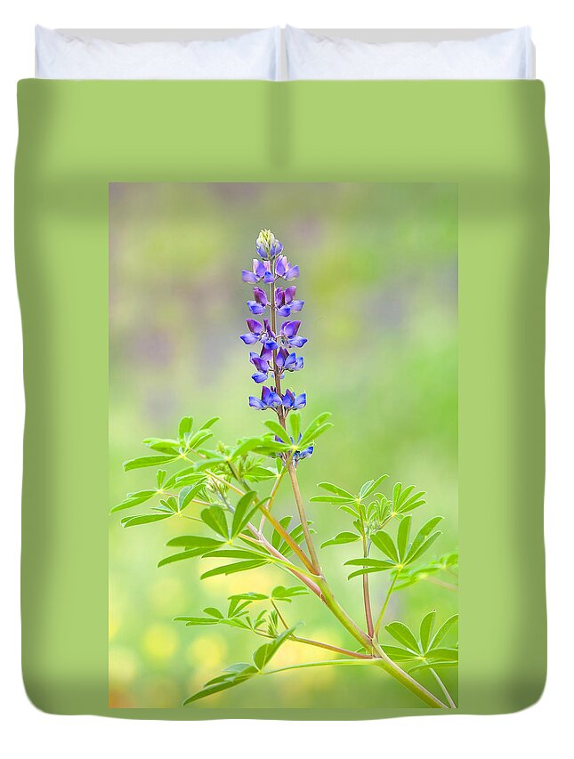 Lupine Duvet Cover featuring the photograph Lupine by Ram Vasudev