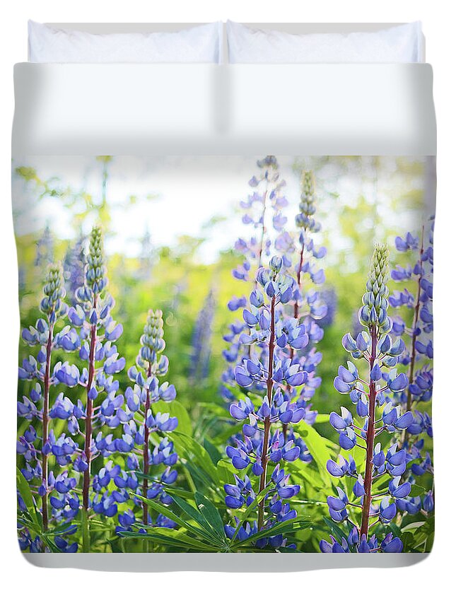 Lupines Duvet Cover featuring the photograph Lupines by Holly Ross