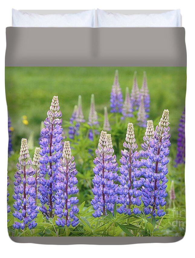 Lupine Duvet Cover featuring the photograph Lupines by Rod Best