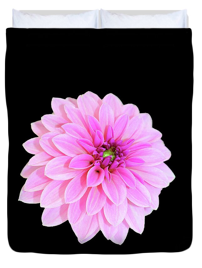 Dahlia Duvet Cover featuring the photograph Luscious Layers Of Pink Beauty by Johanna Hurmerinta