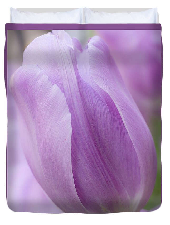 Beauty Duvet Cover featuring the photograph Lush Lavender by Eggers Photography
