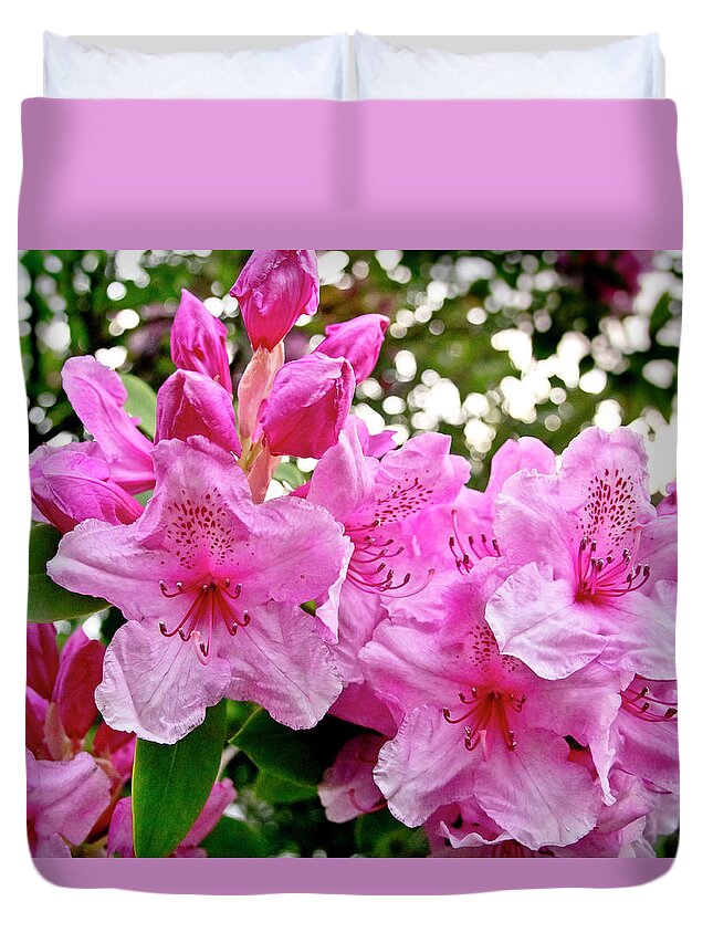 Lush Duvet Cover featuring the photograph Lush spring of the pink rhododendrons. by Elena Perelman