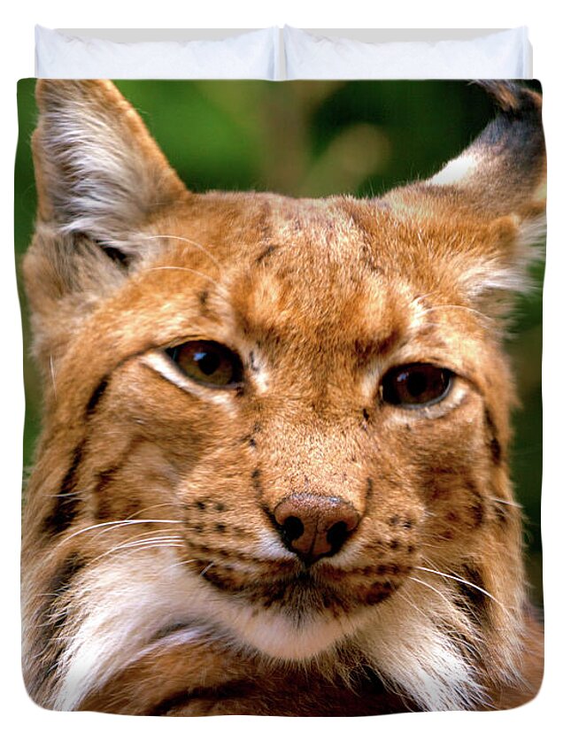 Cat Duvet Cover featuring the photograph Lynx Portrait by Stephen Melia