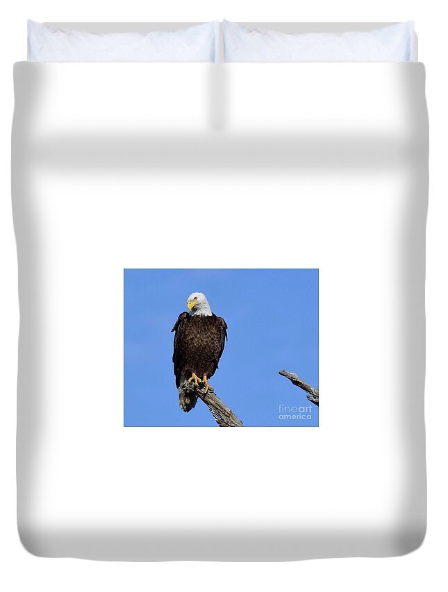 Birds Duvet Cover featuring the photograph M15 the look by Liz Grindstaff