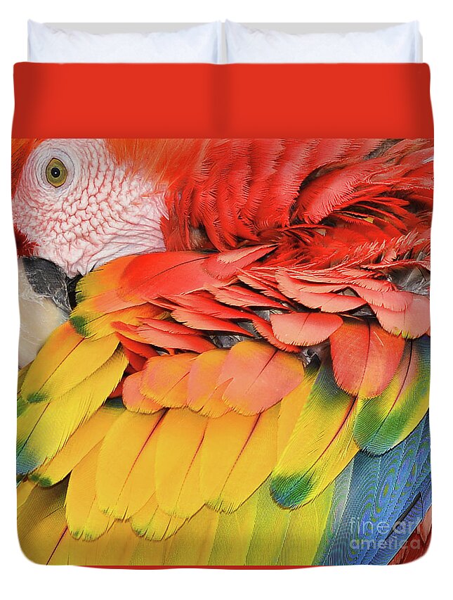 Macaw Parrot Duvet Cover featuring the photograph Macaw Parrot by Olga Hamilton