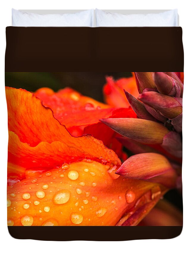 Canna Duvet Cover featuring the photograph Macro Water Drops on a Red Canna Flower by John Williams