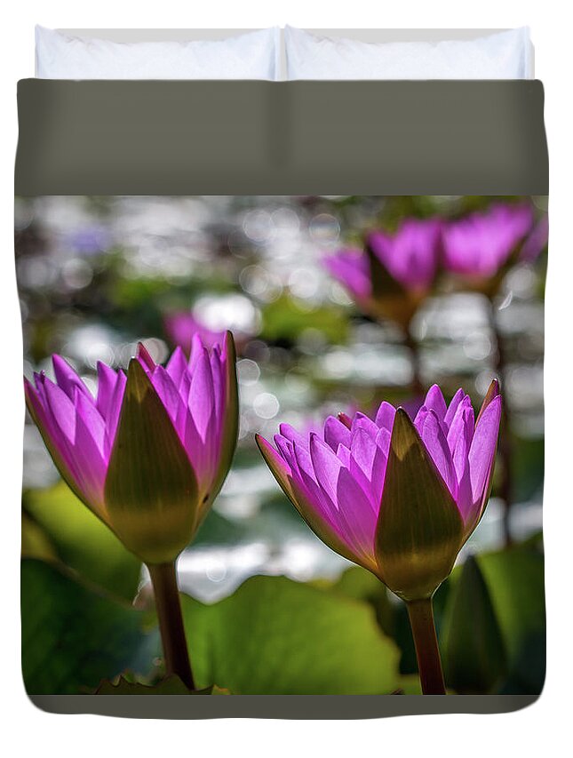 Magenta Duvet Cover featuring the photograph Magenta Water Lilies by Susie Weaver