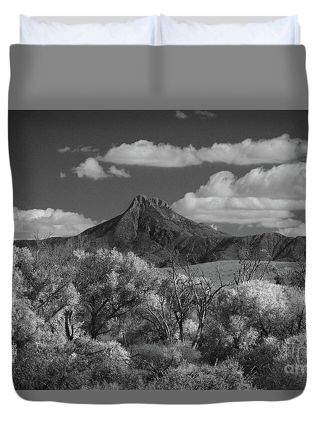 Photography Duvet Cover featuring the photograph Majestic Peak by Vicki Pelham