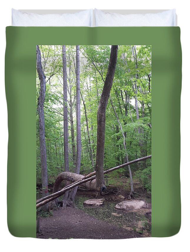 St. Peters Village Duvet Cover featuring the photograph Magical Forest by Margaret Welsh Willowsilk