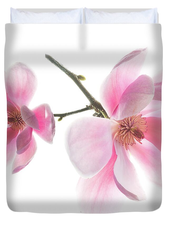 Magnolia Duvet Cover featuring the photograph Magnolia is the harbinger of spring. by Usha Peddamatham