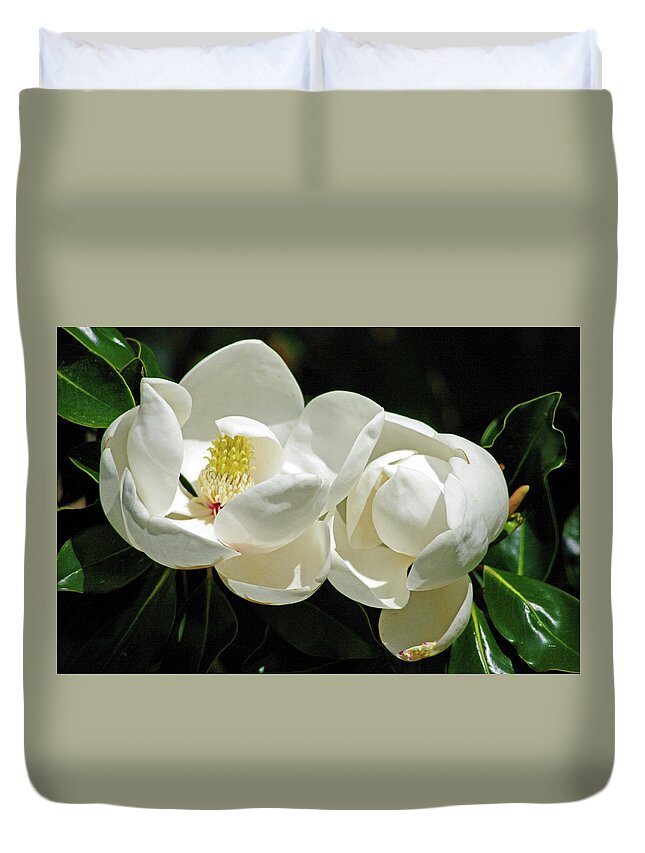 Nature Duvet Cover featuring the photograph Magnolia Bliss by Bess Carter