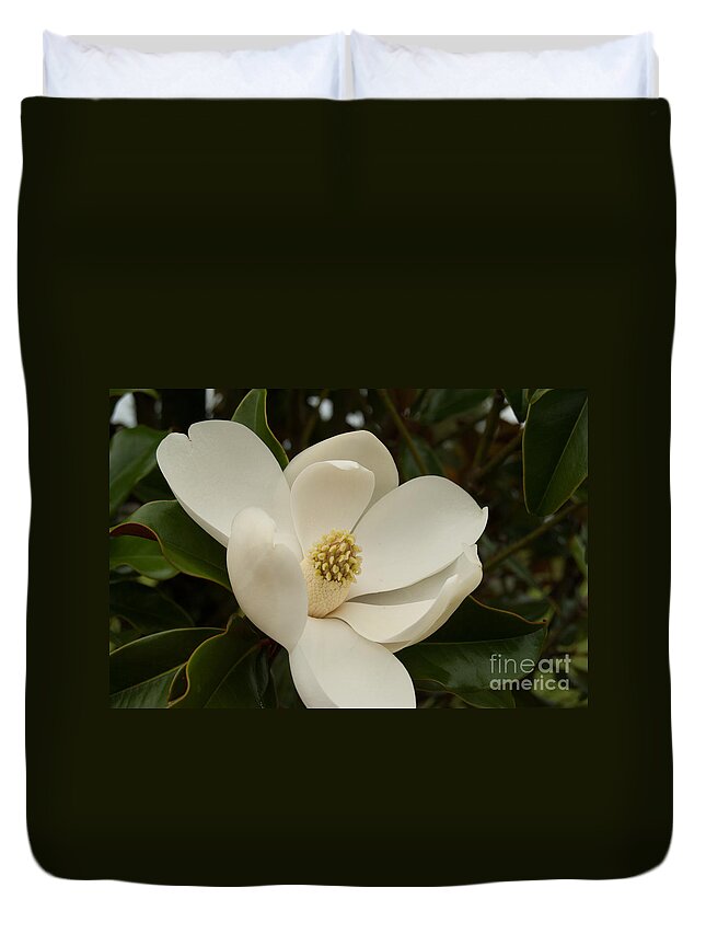 Flower Duvet Cover featuring the photograph Southern Magnolia Bloom by Pamela Williams