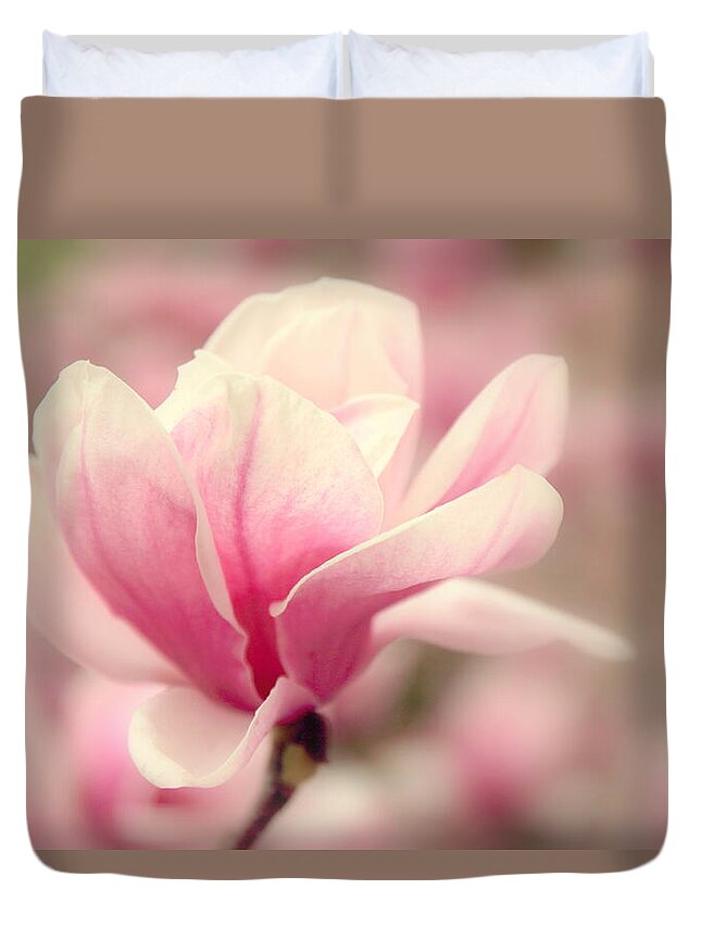 Magnolia Duvet Cover featuring the photograph Magnolia Blossom by Jessica Jenney