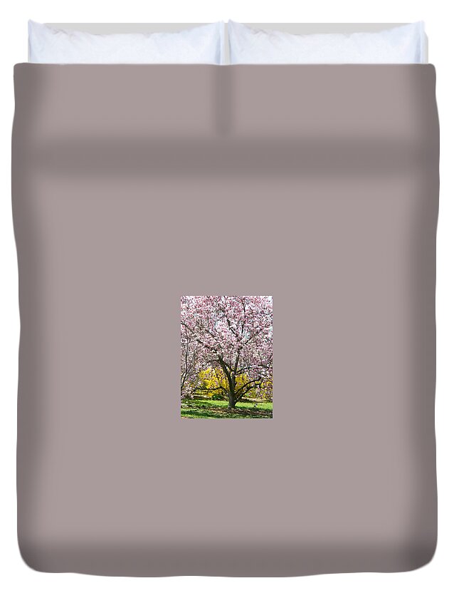 Magnolia Blossoms Duvet Cover featuring the photograph Magnolia Blossoms Galore by Emmy Marie Vickers