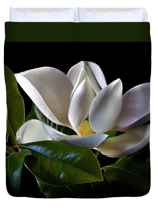 Flower Duvet Cover featuring the photograph Magnolia by Endre Balogh