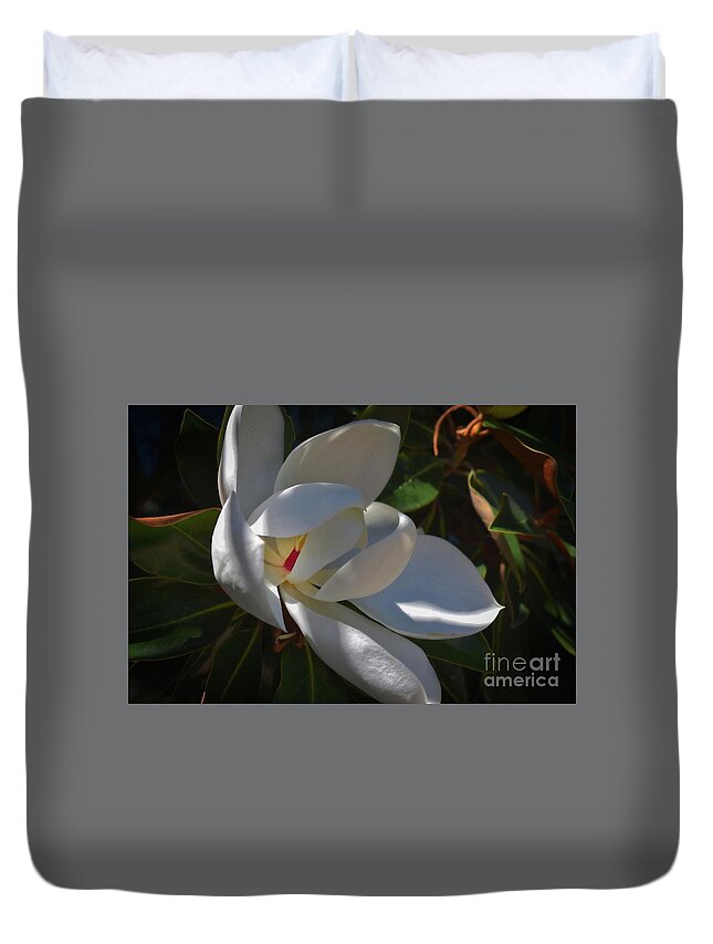 Pictures Of Flowers Duvet Cover featuring the photograph Magnolia One by Skip Willits