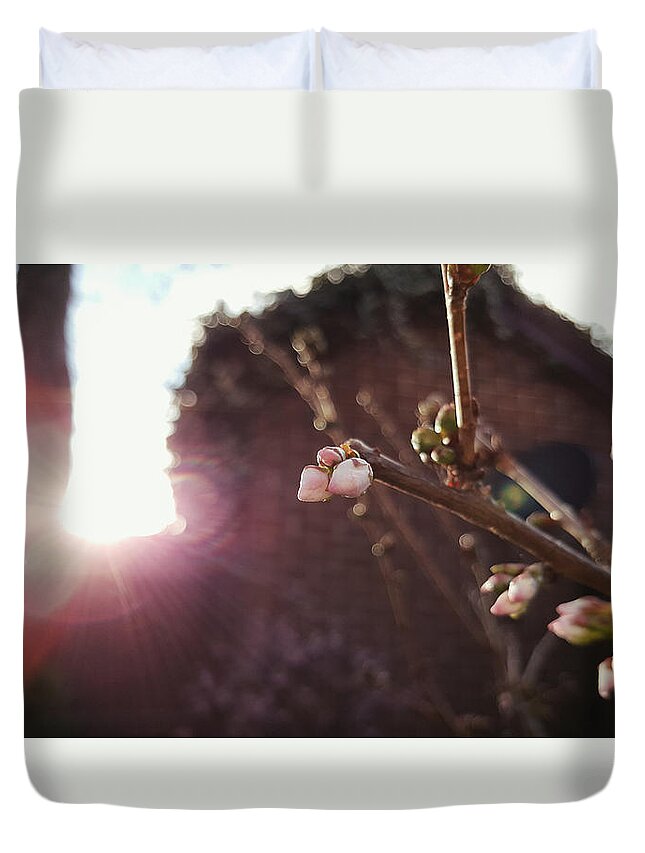 Norwich Duvet Cover featuring the photograph Magnolia to be by Pedro Fernandez