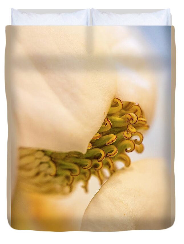 Magnolia Duvet Cover featuring the photograph Magnolia by Vanessa Thomas