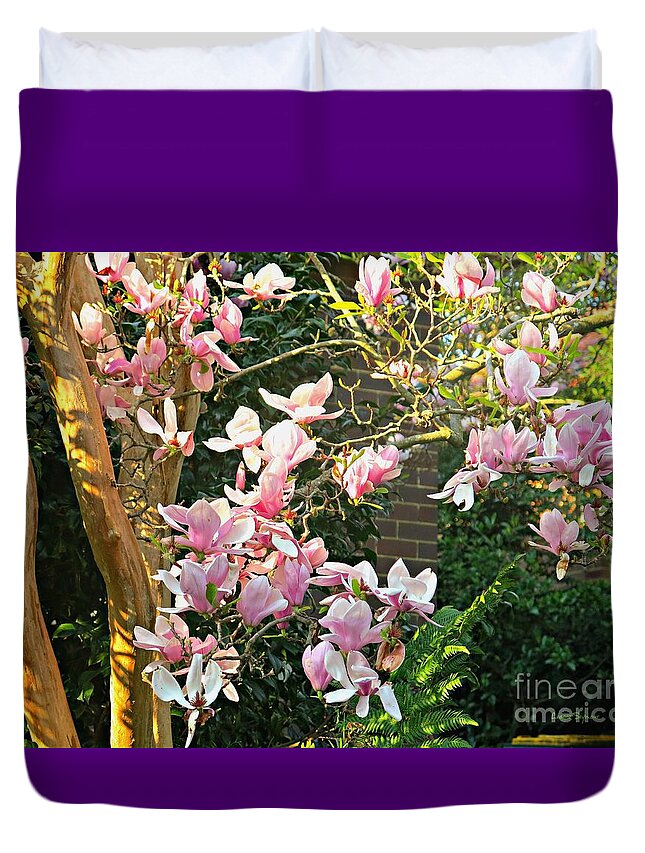 Magnolia Duvet Cover featuring the photograph Magnolias And Sunshine by Leanne Seymour
