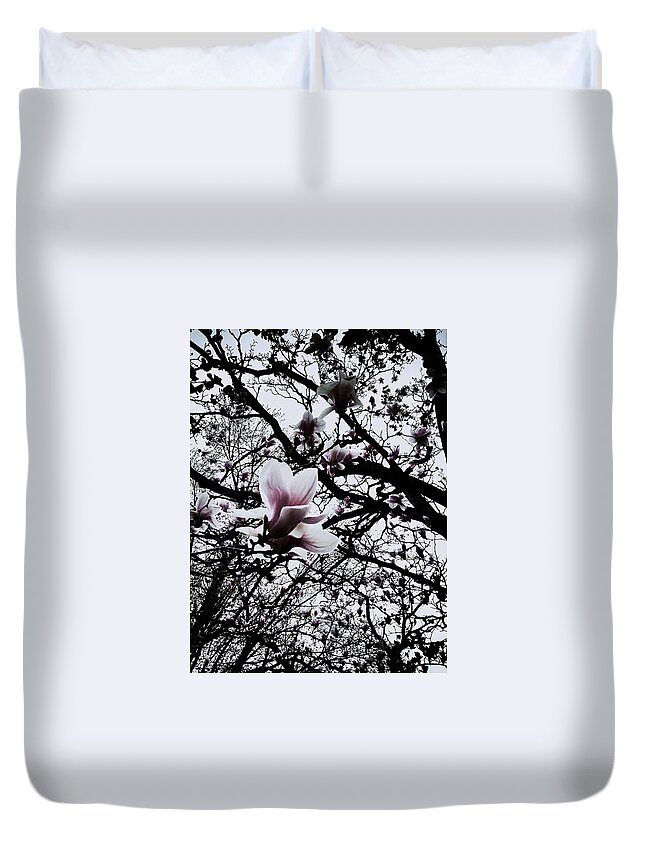 Frank-j-casella Duvet Cover featuring the photograph Magnolias Pastel by Frank J Casella