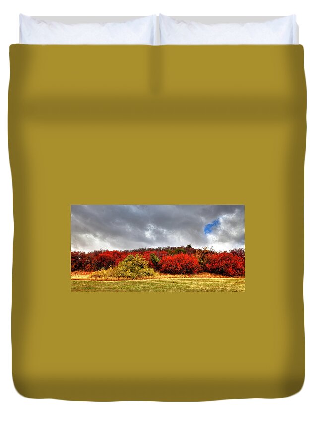 Magpie Forest Duvet Cover featuring the photograph Magpie Forest by David Patterson